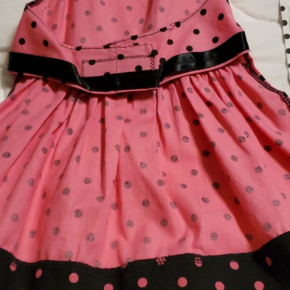 PC Dog Dress - Picture 3 of 6